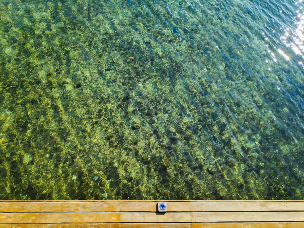 Bahia Coral *