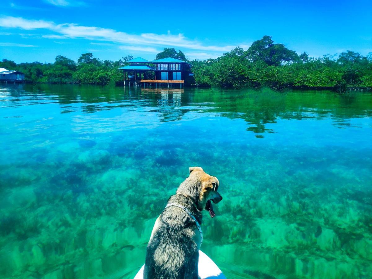 Villa Bahia Coral