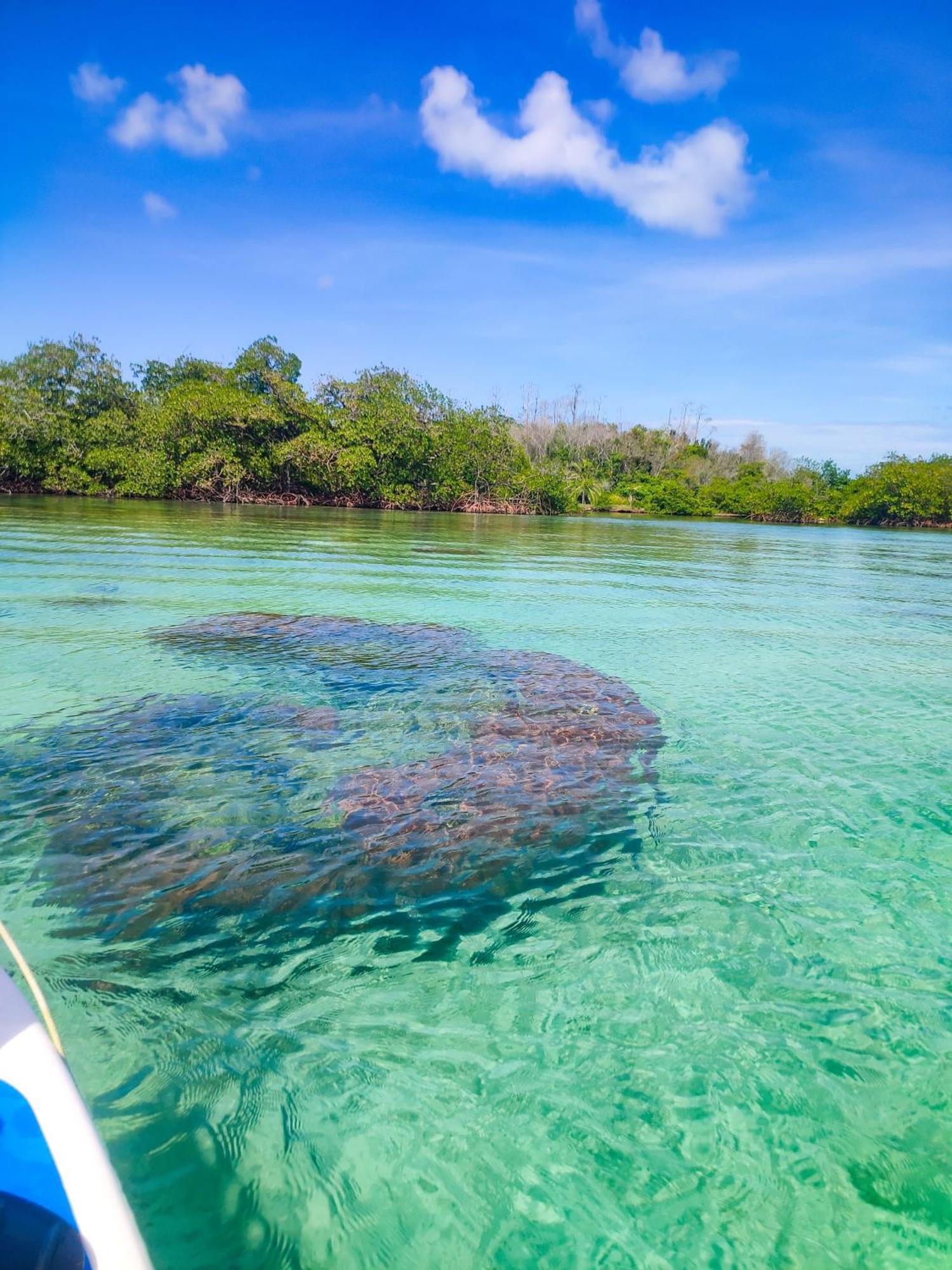 Bahia Coral Bocas del Toro